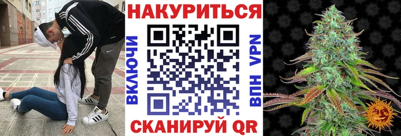 Как найти наркотики Новосибирск Псилоцибиновые грибы  Alpha PVP  ГАШИШ  LSD-25  Марихуана  Кокаин 